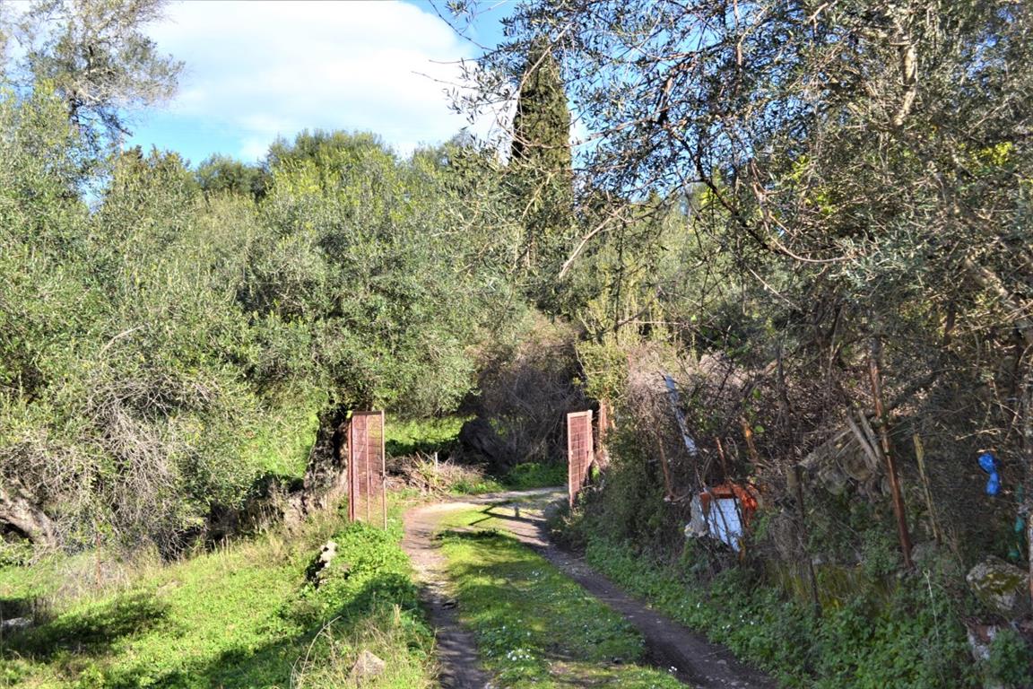 Земля на Корфу, Греция, 70 000 м² - фото 14