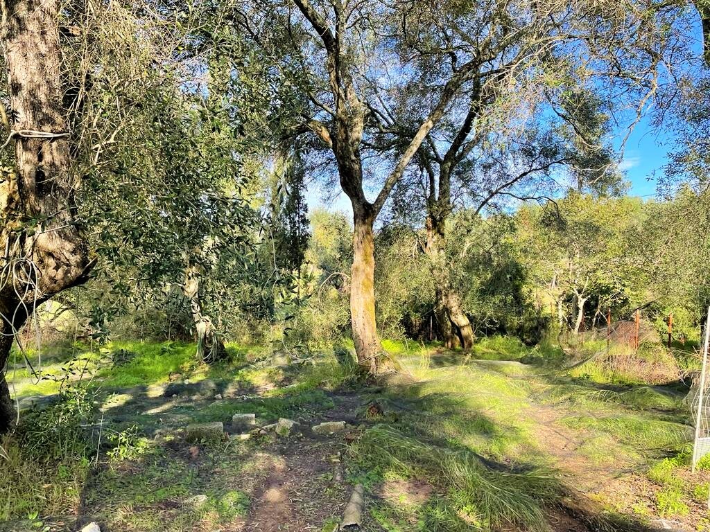 Дом на Корфу, Греция, 190 м² - фото 14