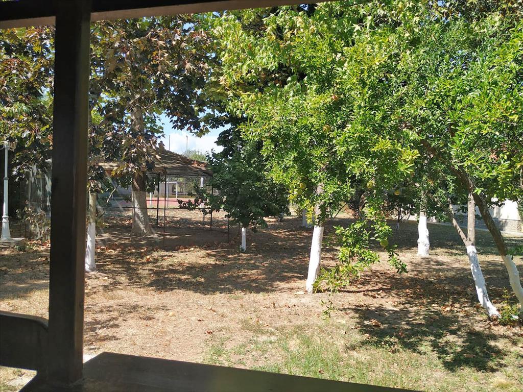 Вилла в Олимпиаки-Акти, Греция, 400 м² - фото 14