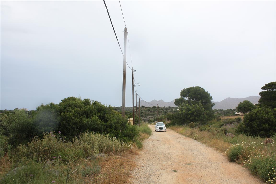 Земля в Ираклионе, Греция, 5 900 м² - фото 14