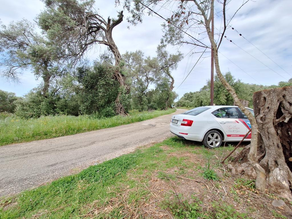 Земля на Корфу, Греция, 7 000 м² - фото 14