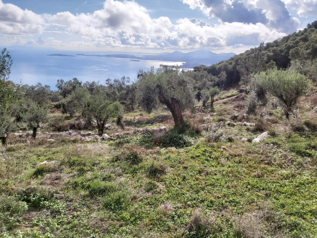 Земля на Корфу, Греция, 9 500 м² - фото 14
