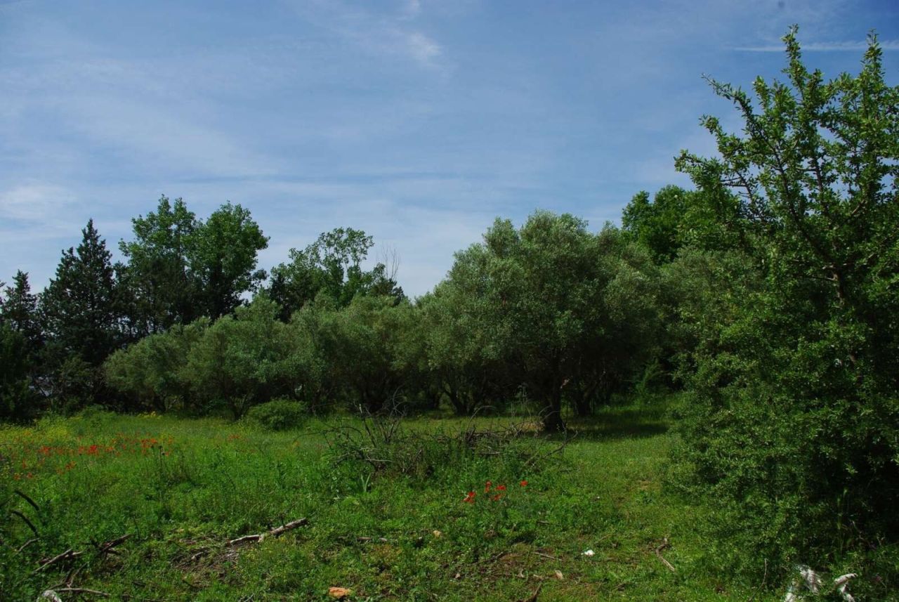 Дом в Салониках, Греция, 200 м² - фото 14