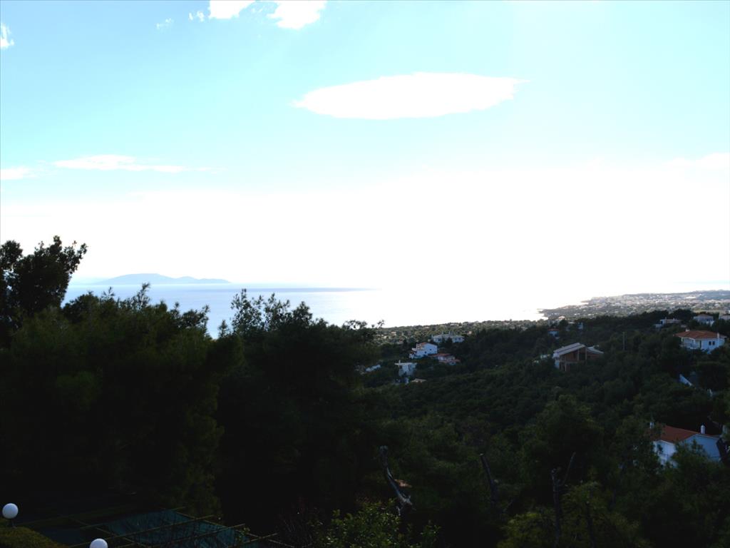 Дом в Аттике, Греция, 430 м² - фото 14