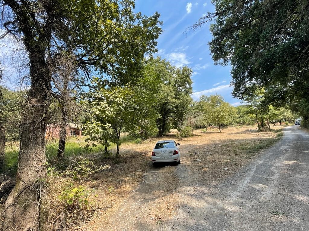 Земля на Корфу, Греция, 4 850 м² - фото 14