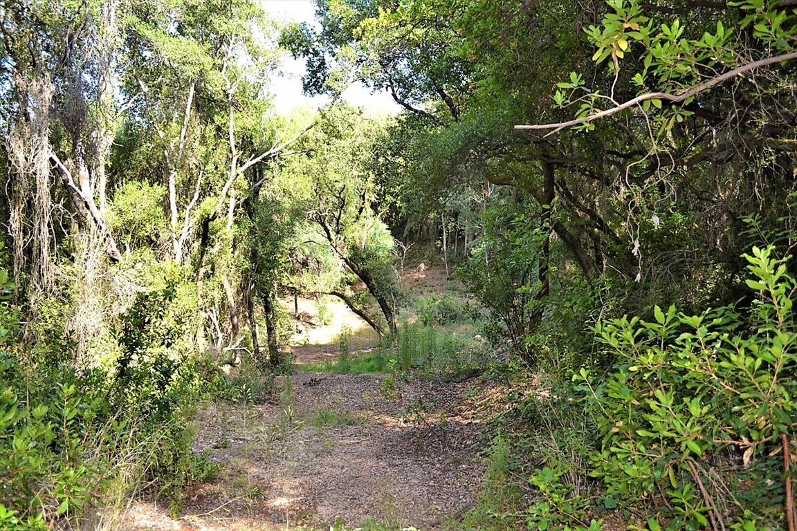 Земля на Корфу, Греция, 33 000 м² - фото 14