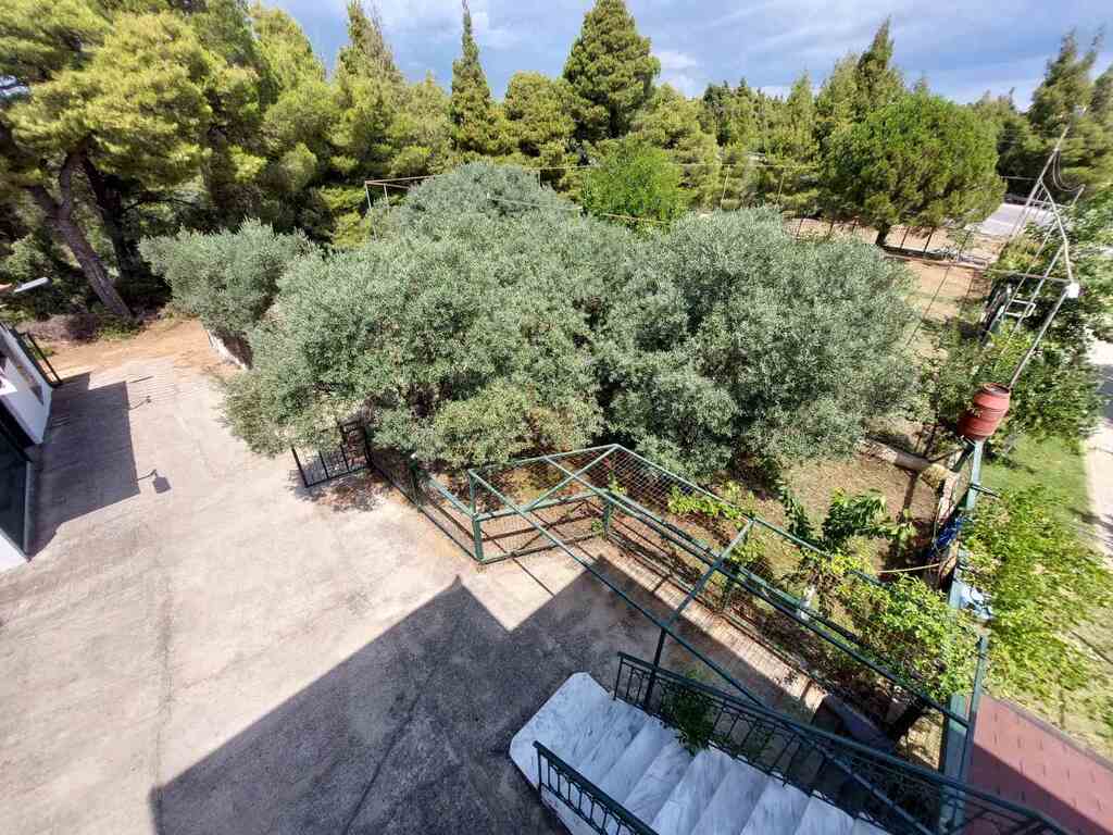 Дом в Ситонии, Греция, 160 м² - фото 14