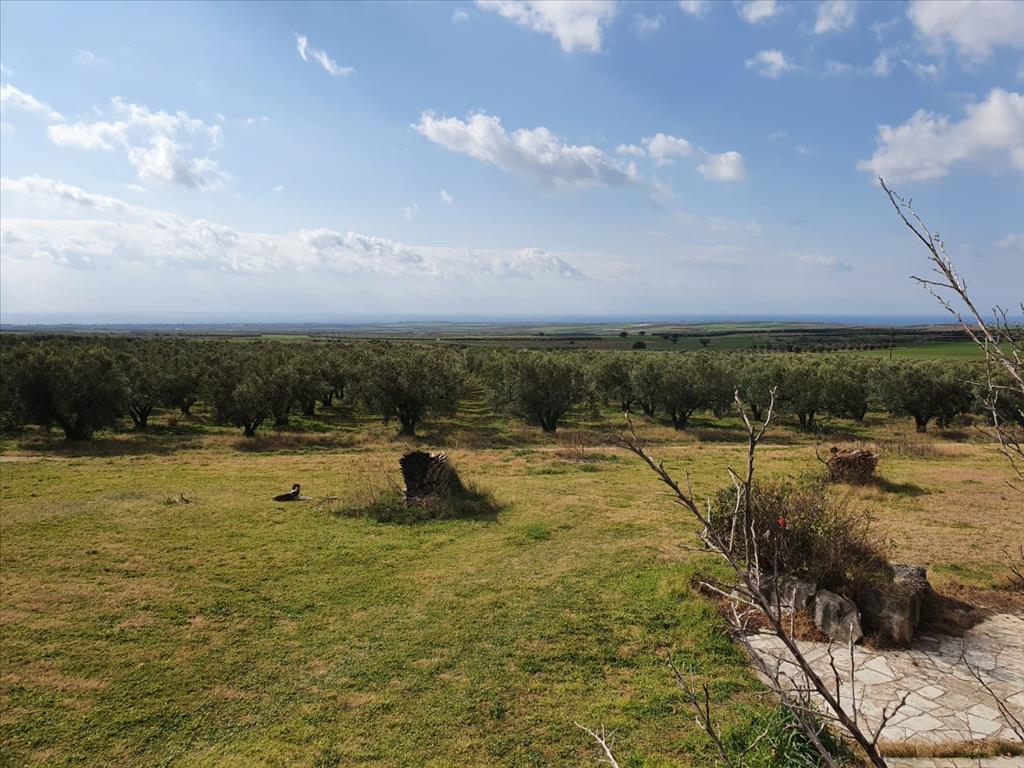 Дом на Халкидиках, Греция, 400 м² - фото 14