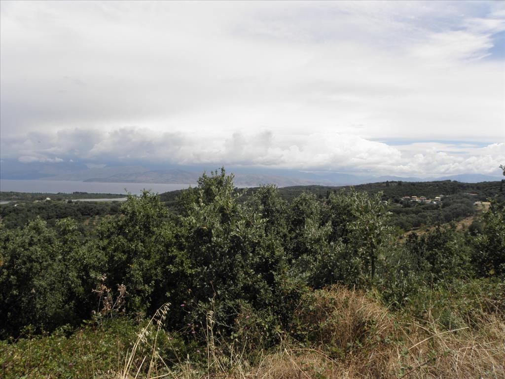 Земля на Корфу, Греция, 15 000 м² - фото 14