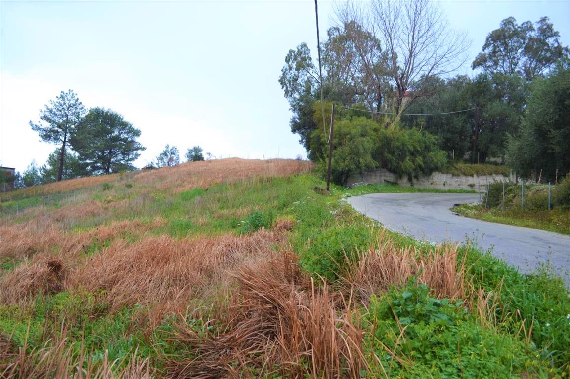 Земля на Корфу, Греция, 2 522 м² - фото 14