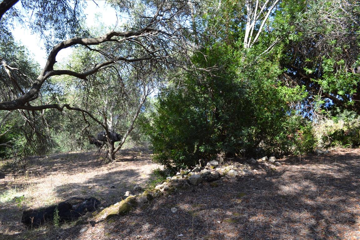 Земля на Корфу, Греция, 9 150 м² - фото 15