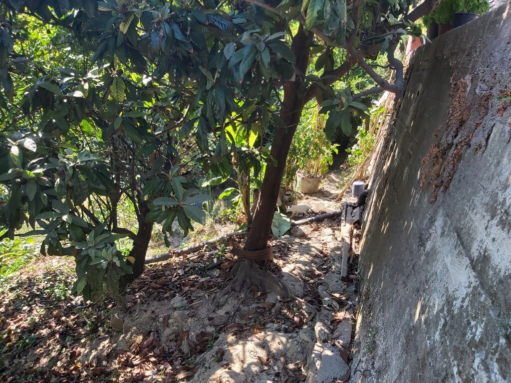 Мезонет на Корфу, Греция, 106 м² - фото 15