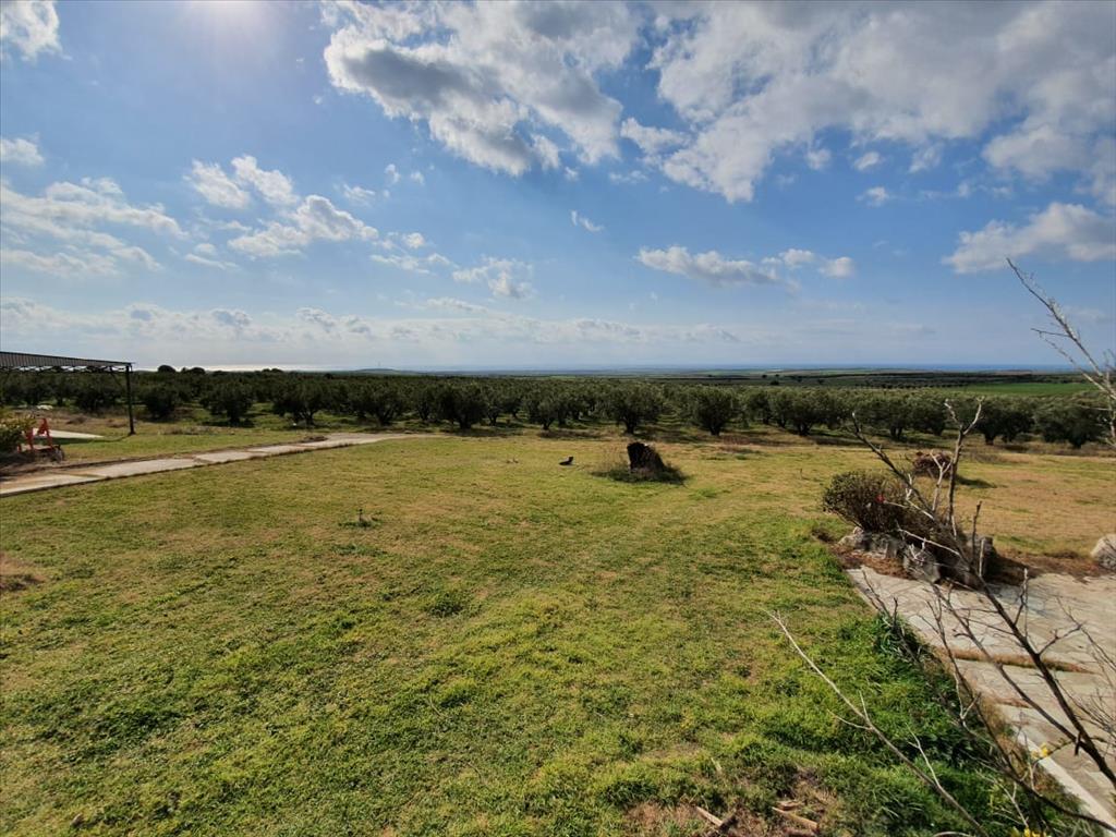 Дом на Халкидиках, Греция, 400 м² - фото 15