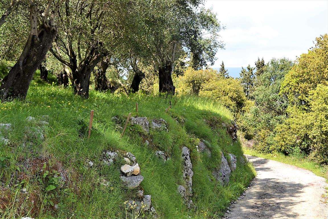 Земля на Корфу, Греция, 7 000 м² - фото 15