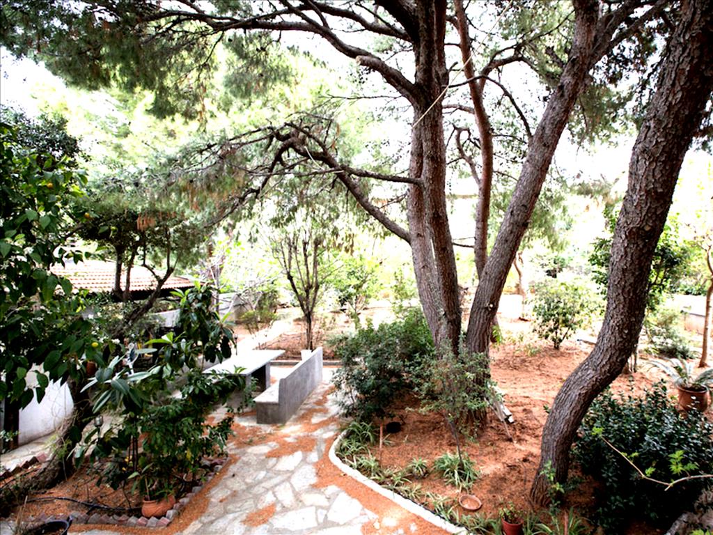 Дом в Аттике, Греция, 360 м² - фото 15