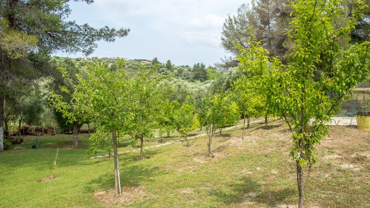 Вилла на Кассандре, Греция, 360 м² - фото 15