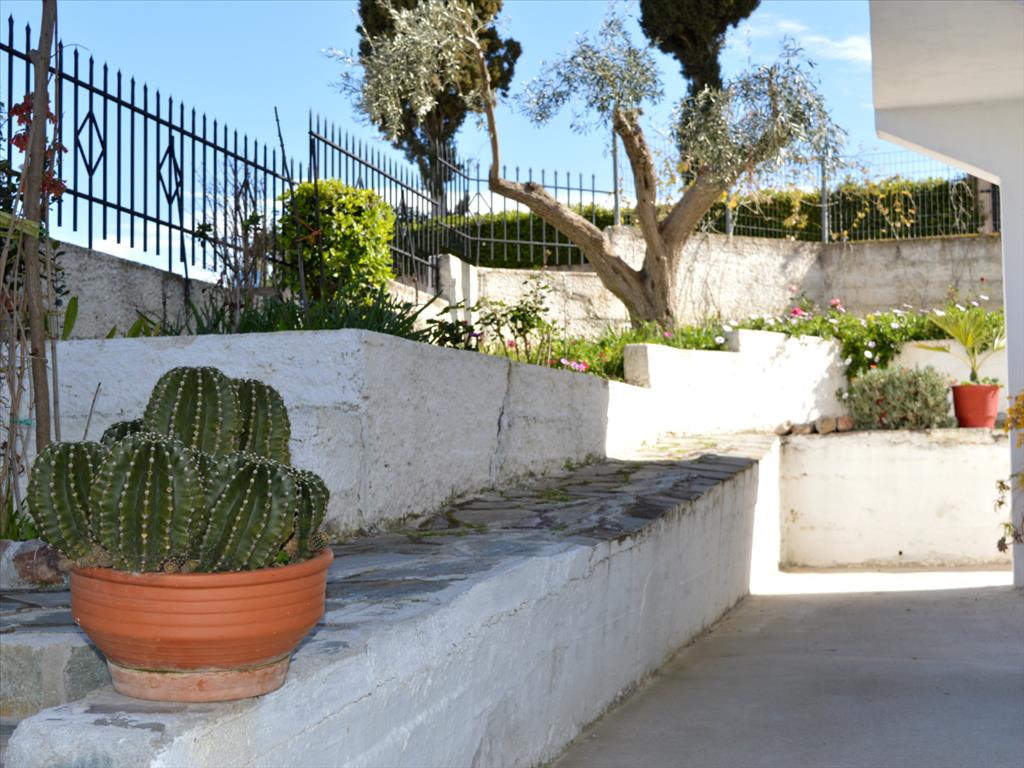 Дом в Аттике, Греция, 150 м² - фото 15