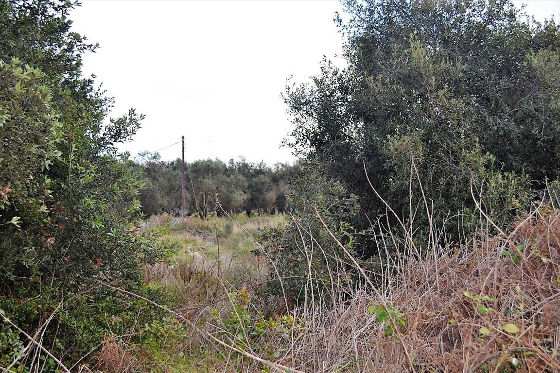 Земля на Корфу, Греция, 5 500 м² - фото 15