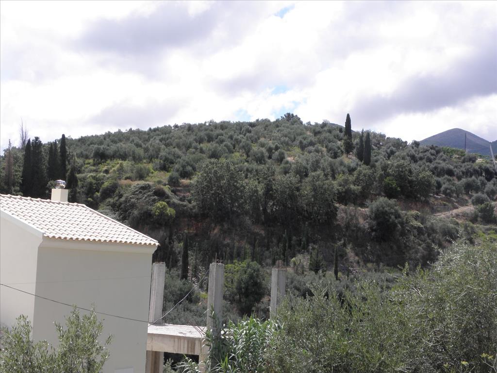 Земля на Корфу, Греция, 15 000 м² - фото 15