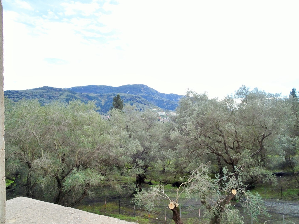 Дом на Корфу, Греция, 240 м² - фото 15