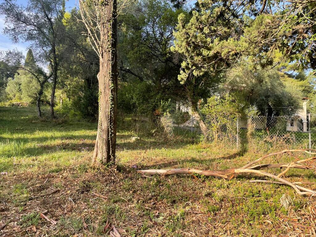 Земля на Корфу, Греция, 3 321 м² - фото 15