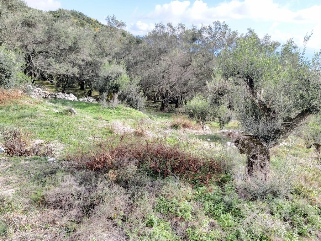 Земля на Корфу, Греция, 9 500 м² - фото 15