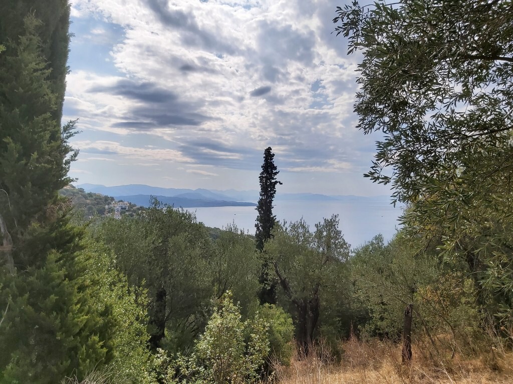 Земля на Корфу, Греция, 18 000 м² - фото 15