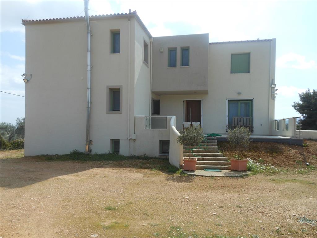 Дом в Аттике, Греция, 230 м² - фото 15