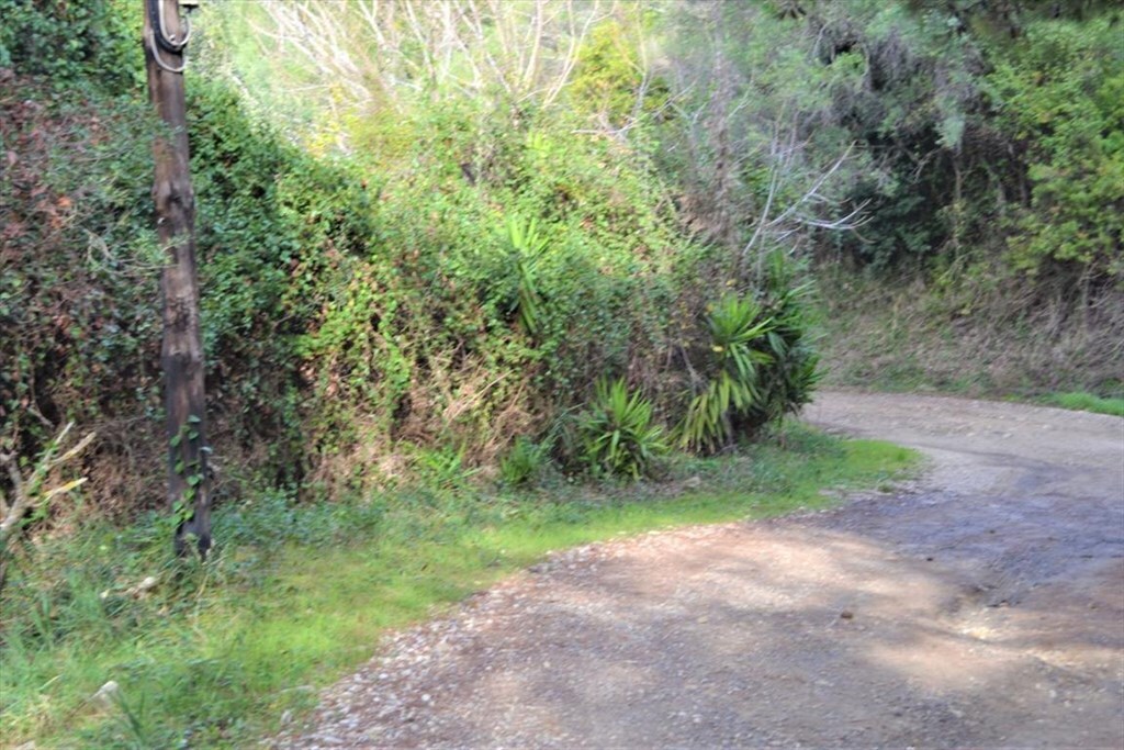 Земля на Корфу, Греция, 10 959 м² - фото 15