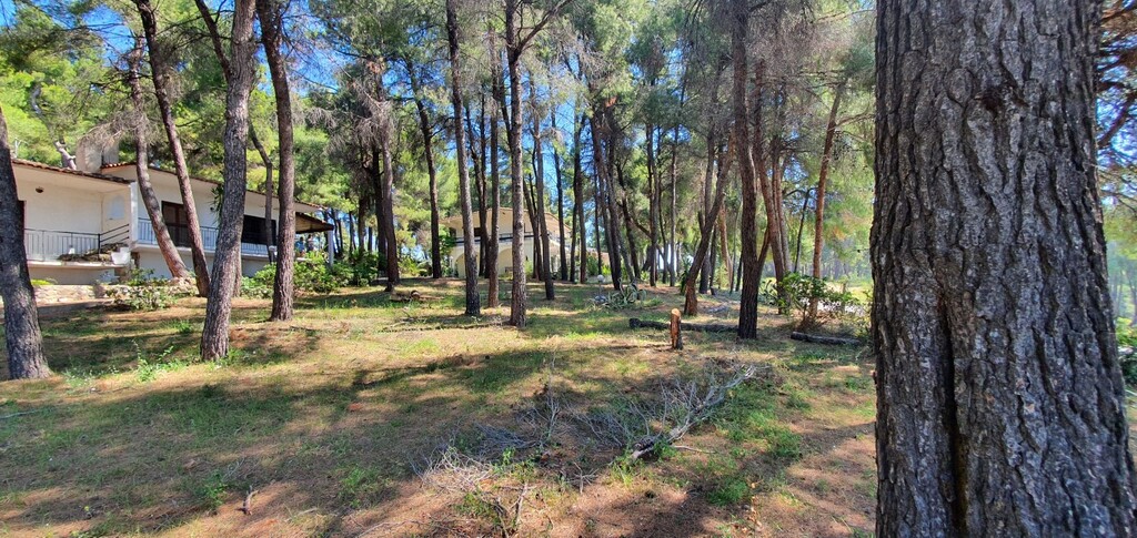 Вилла на Кассандре, Греция, 440 м² - фото 15