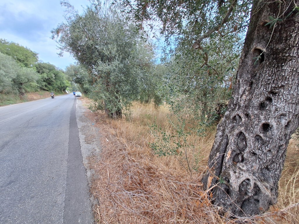 Земля на Корфу, Греция, 5 500 м² - фото 15