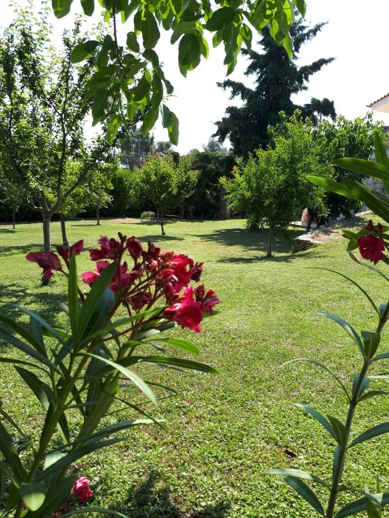 Мезонет на Кассандре, Греция, 120 м² - фото 15