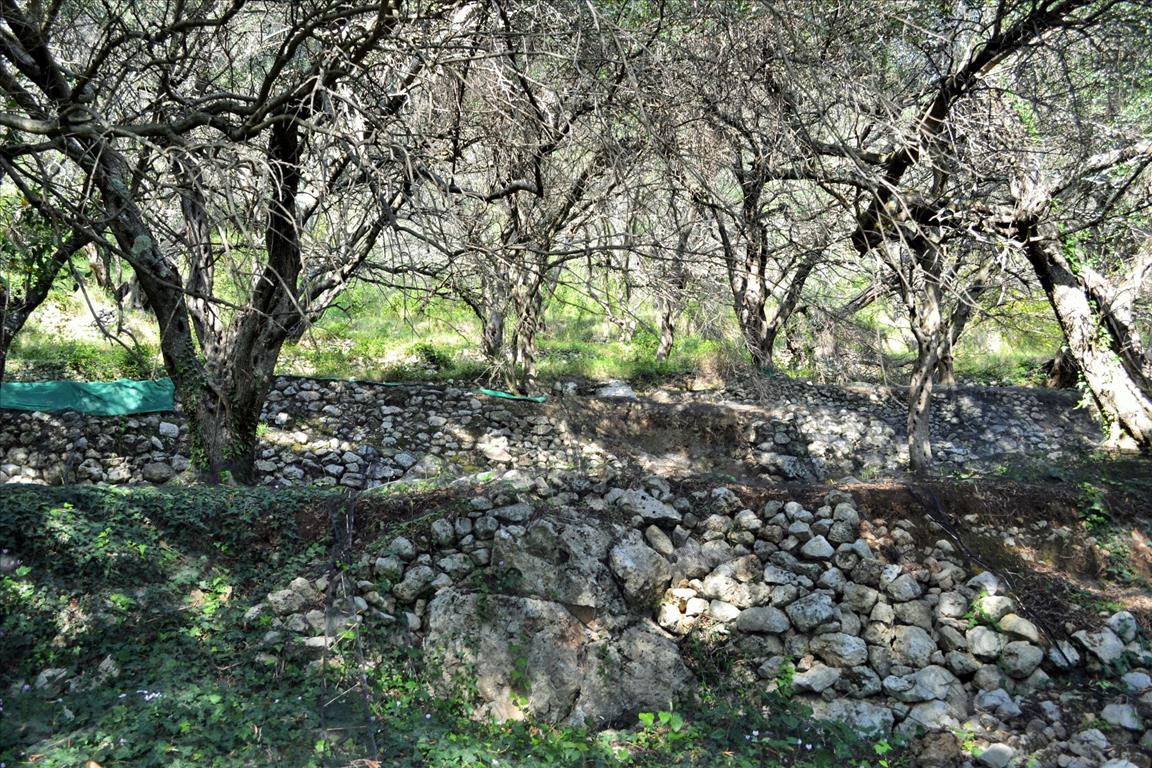 Земля на Корфу, Греция, 14 530 м² - фото 15