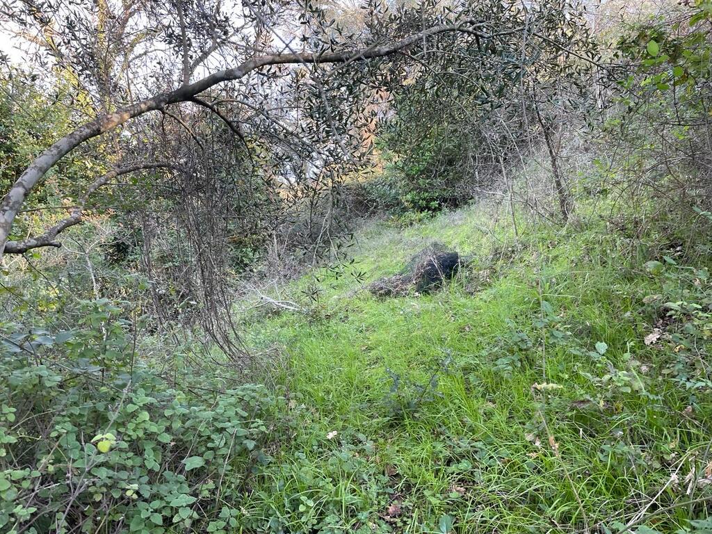 Земля на Корфу, Греция, 14 529 м² - фото 15