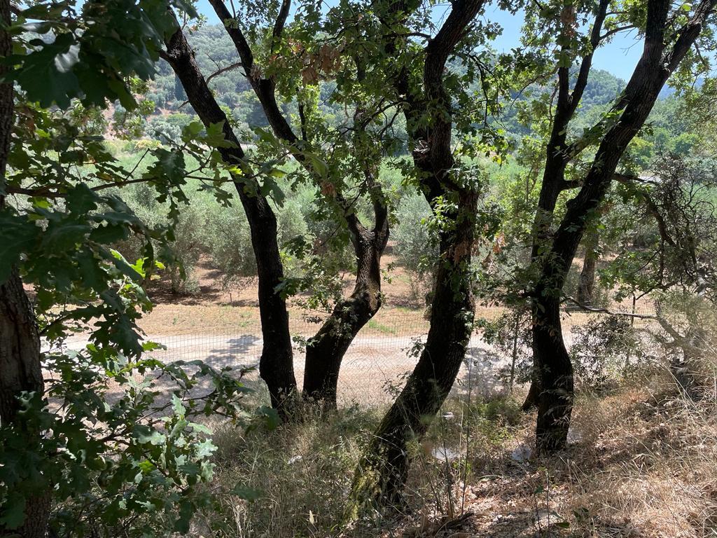 Земля на Корфу, Греция, 26 159 м² - фото 15