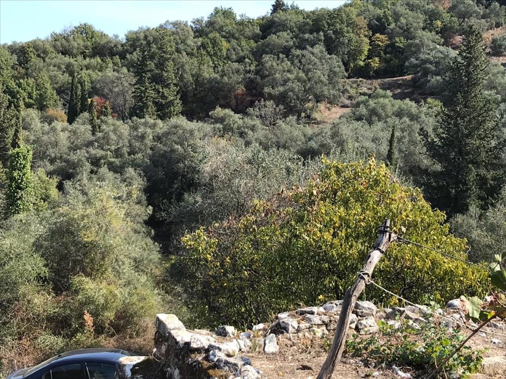 Земля на Корфу, Греция, 4 000 м² - фото 16