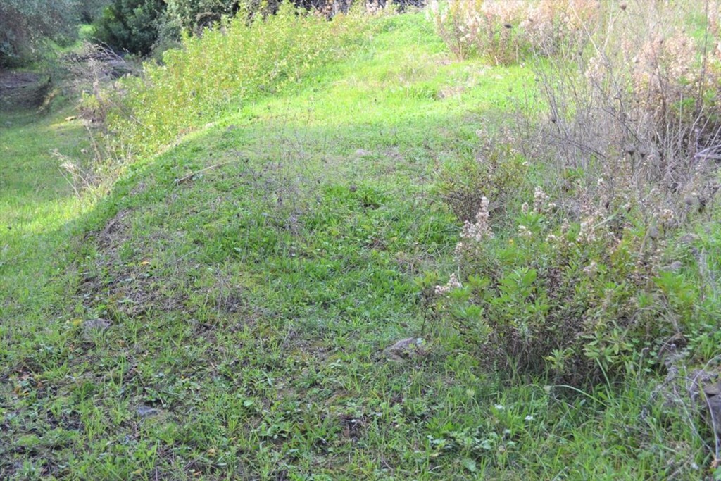 Земля на Корфу, Греция, 10 959 м² - фото 16