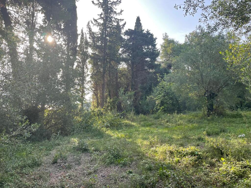 Земля на Корфу, Греция, 3 321 м² - фото 16