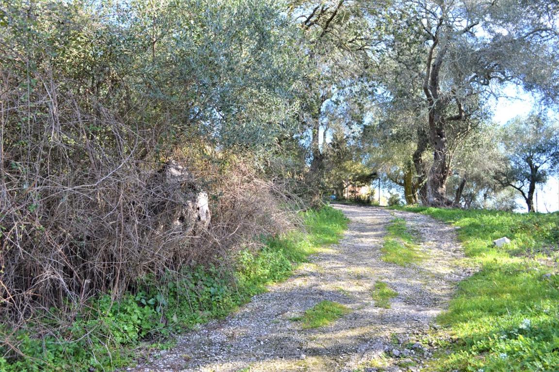 Земля на Корфу, Греция, 70 000 м² - фото 16