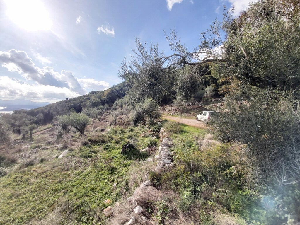 Земля на Корфу, Греция, 9 500 м² - фото 16