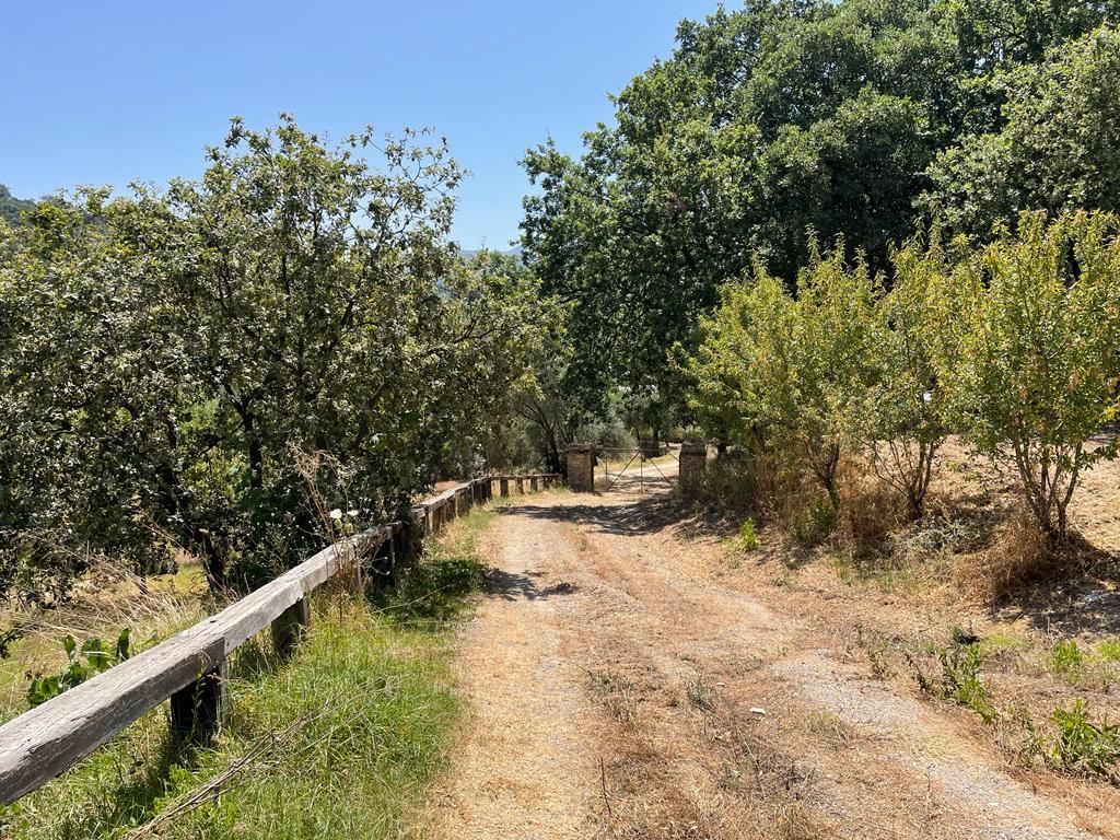 Земля на Корфу, Греция, 26 159 м² - фото 16