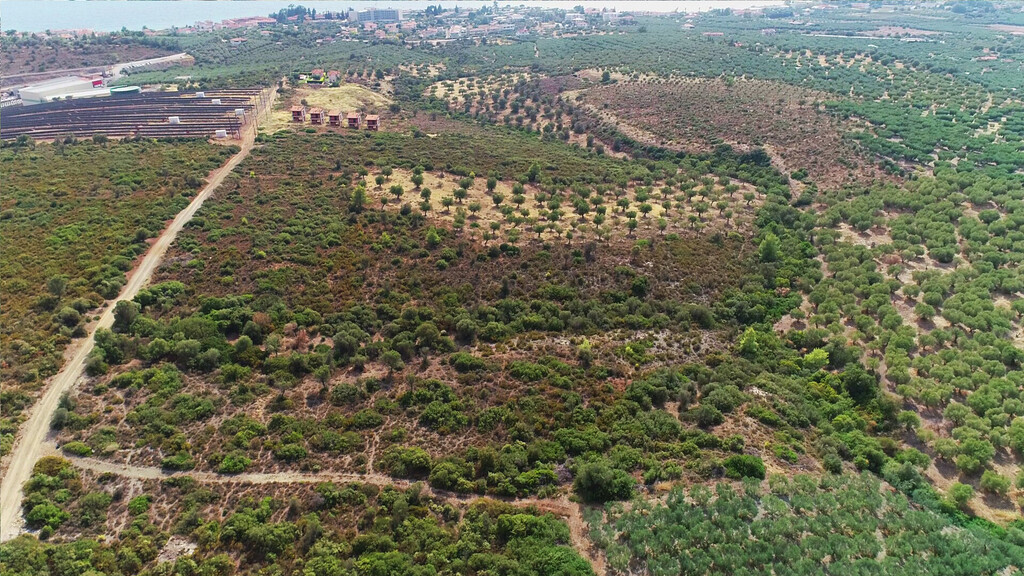 Земля в Ситонии, Греция, 37 500 м² - фото 16