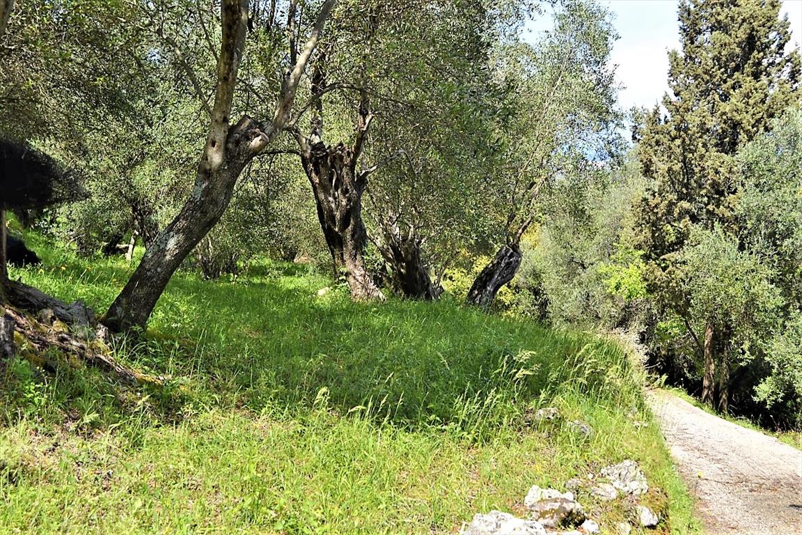 Земля на Корфу, Греция, 7 000 м² - фото 16