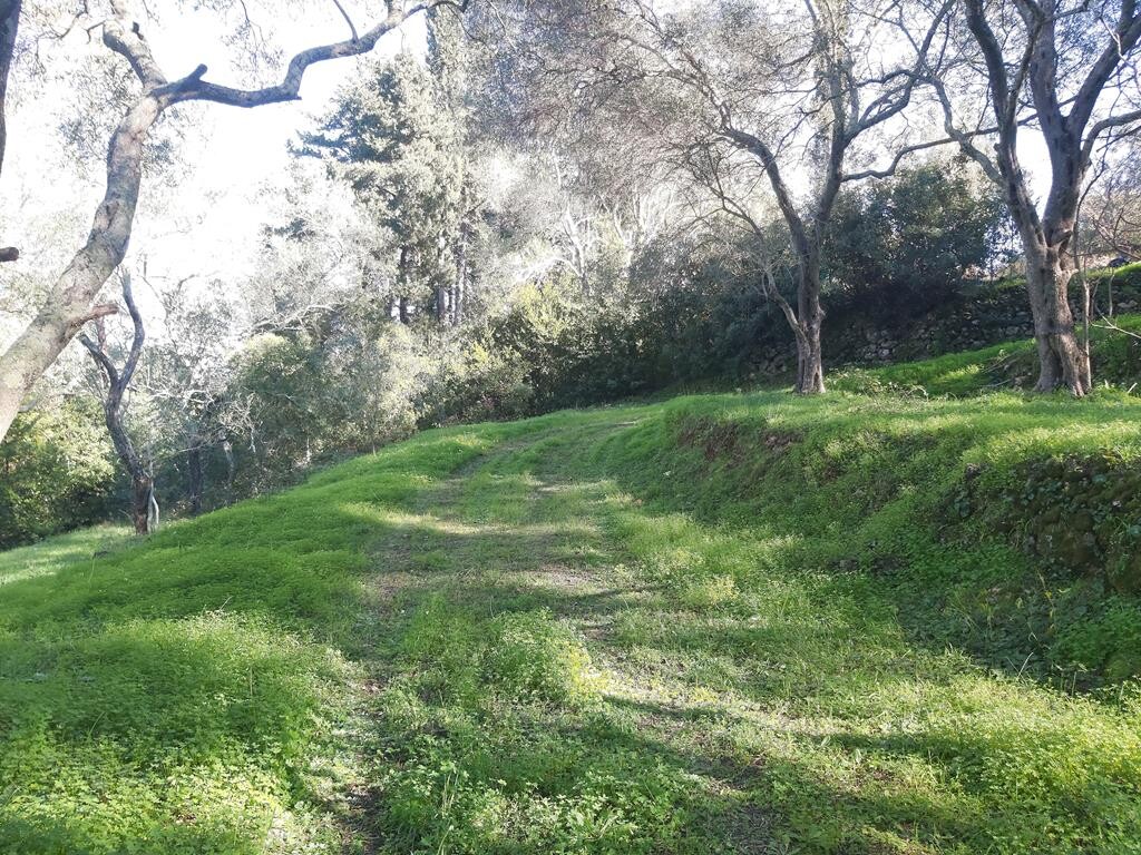 Земля на Корфу, Греция, 7 000 м² - фото 16