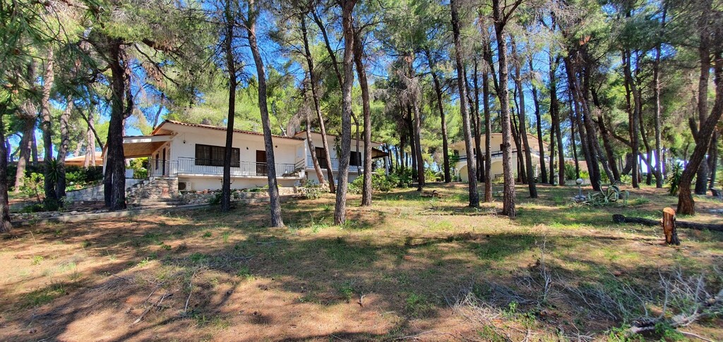 Вилла на Кассандре, Греция, 440 м² - фото 16