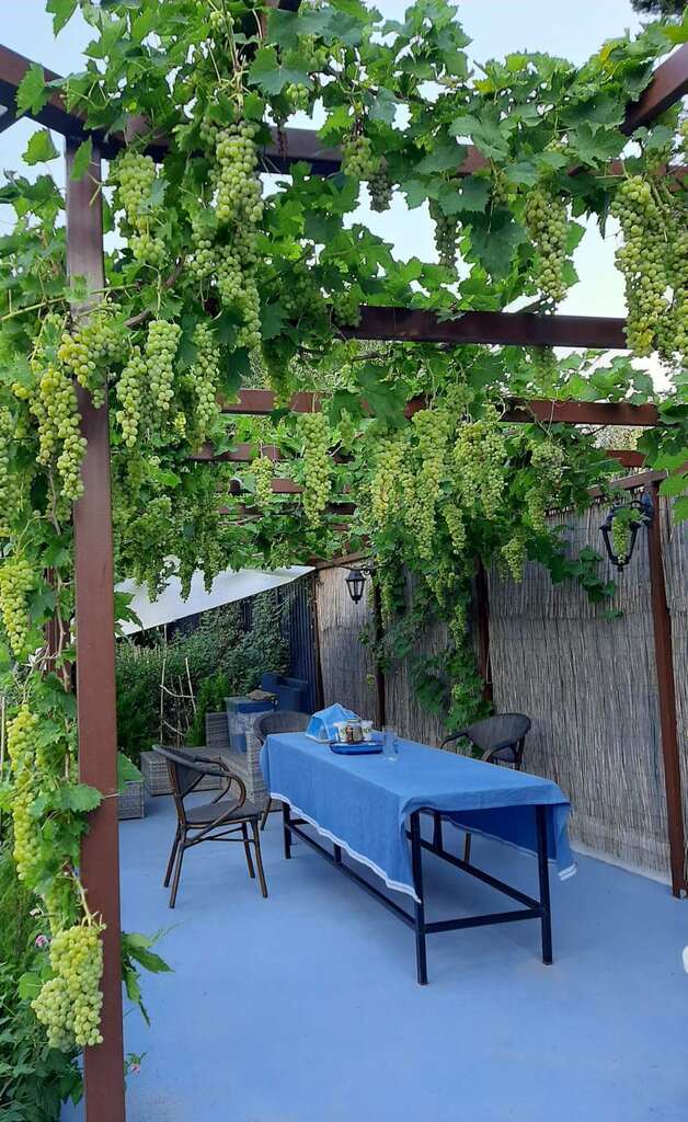 Дом в Аттике, Греция, 275 м² - фото 16