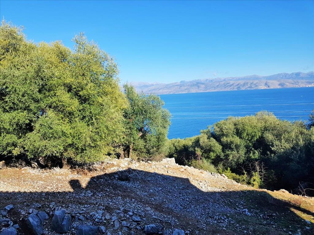 Земля на Корфу, Греция, 12 000 м² - фото 16