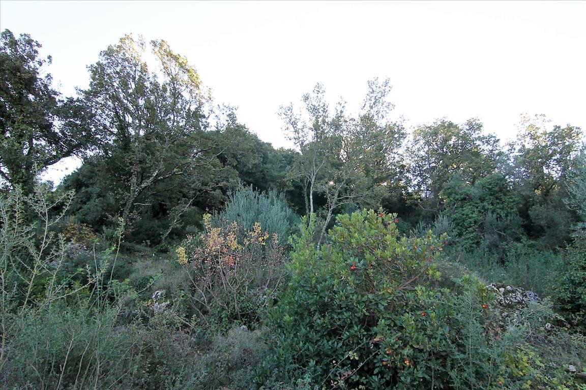 Земля на Корфу, Греция, 4 000 м² - фото 16