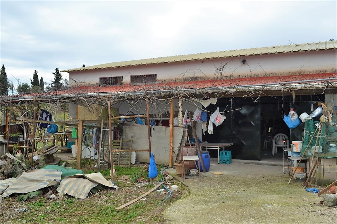 Земля на Корфу, Греция, 21 000 м² - фото 17