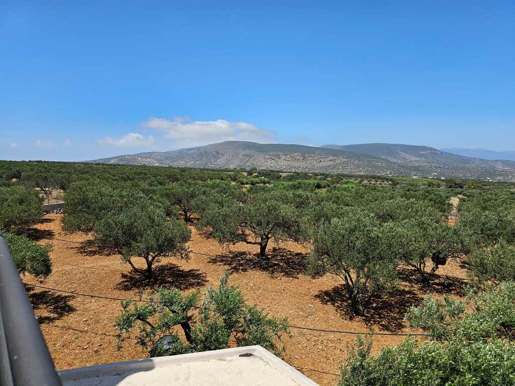 Вилла в Ираклионе, Греция, 200 м² - фото 17